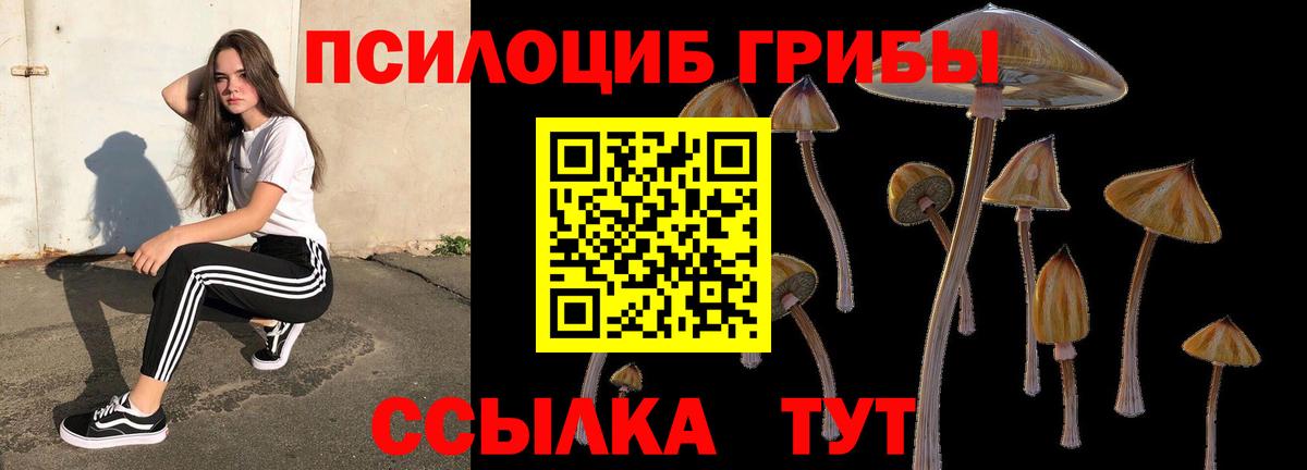 Юрга  Псилоцибиновые грибы Psilocybe  Галлюциногенные грибы Magic Shrooms  Вход с VPN 